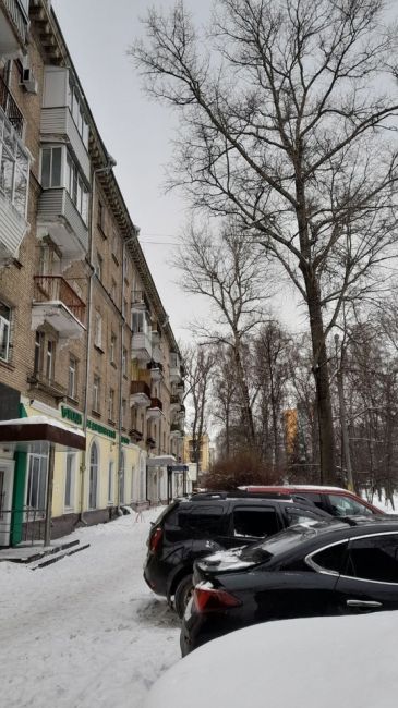 ЖК Пироговская Ривьера 
Во дворах ни одного дворника, дороги все завалены снегом, сугробы с рост человека..