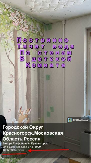 Пожалуйста, помогите нам!! В моей квартире, где проживаю с детьми, постоянно с крыши и через швы стен льется..