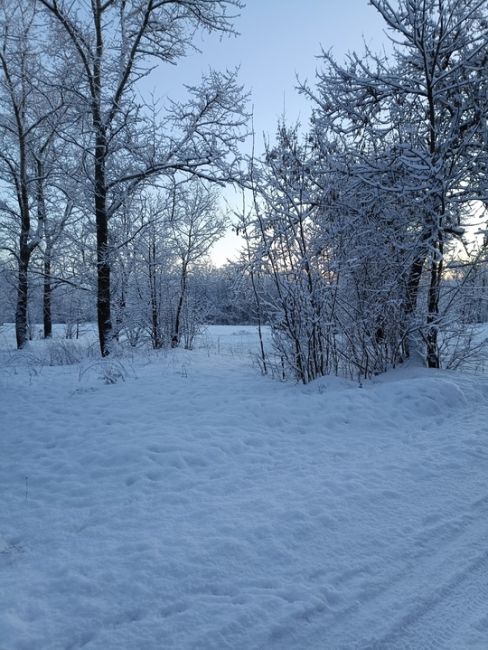 Ну какая сегодня невероятная красота 😻  📸Мария..