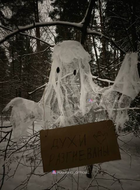 - Духи разгневаны 👻
📍Пушкино. Лесопарк..