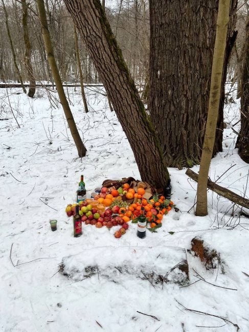 🤯В Москве обнаружили место, где, предположительно, совершались ритуальные действия. В Матвеевском лесу..