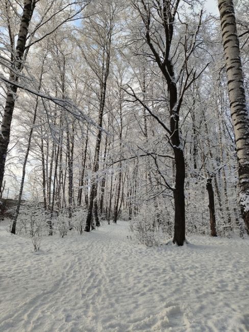 БАЛАШИХА ПРЕДНОВОГОДНЯЯ
Фото Ильмира..