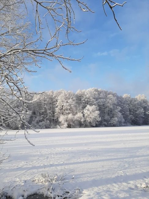 БАЛАШИХА ПРЕДНОВОГОДНЯЯ
Фото Ильмира..