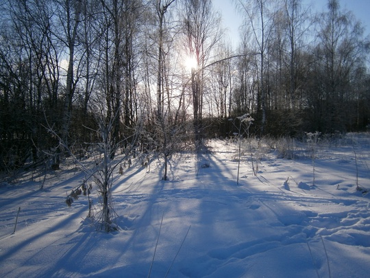 САМЫЙ КОРОТКИЙ ДЕНЬ В ГОДУ ❄️
☀️21 декабря — День зимнего солнцестояния
Солнце над Балашихой зайдет в 15:58, а..