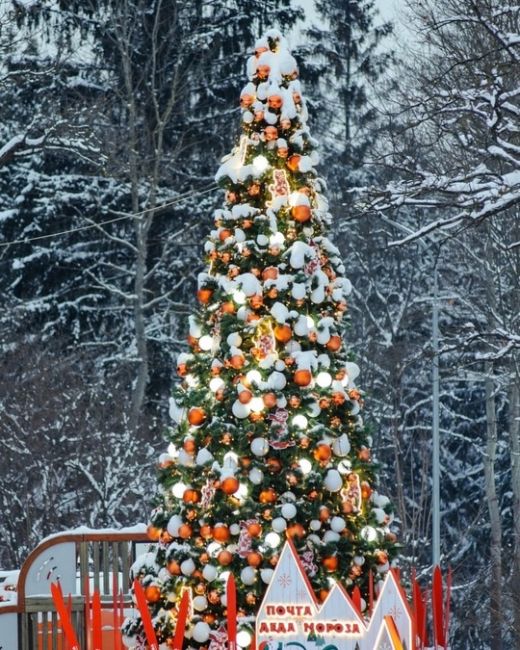 Праздник «Новый год под шубой» пройдет на Лазутинке 🎄  В первый день, 28 декабря (суббота), мероприятие..