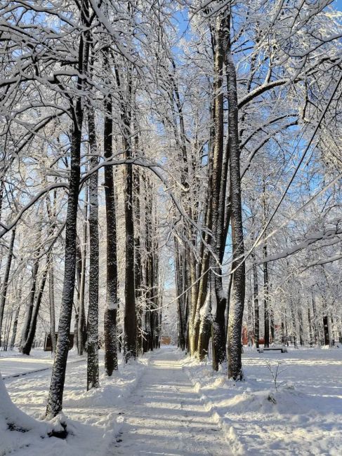 ❄️ Зима в..