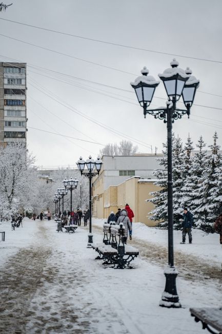 Алексей Гречушников 
Альбом -> Заснеженный городок (31/12/2024 г.) 
#Раменское..