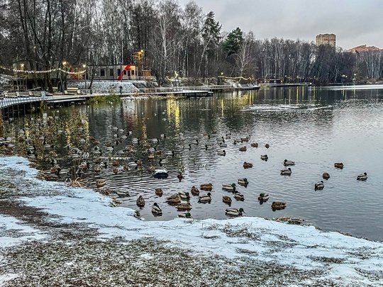 А тем временем шел..