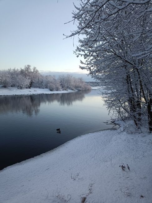 Ну какая сегодня невероятная красота 😻  📸Мария..