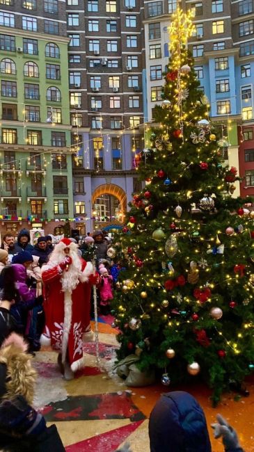 А в Солнечной Системе соседский актив снова провёл новогодний праздник 🎉  Как всегда, все организовал..