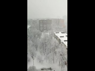 И О ПОГОДЕ ❄️
Балашиху и Железнодорожный снегом..