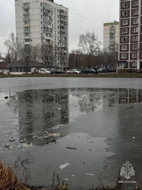 Два человека провалились под лед на востоке Москвы.  Провалившихся заметили очевидцы, они вызвали..