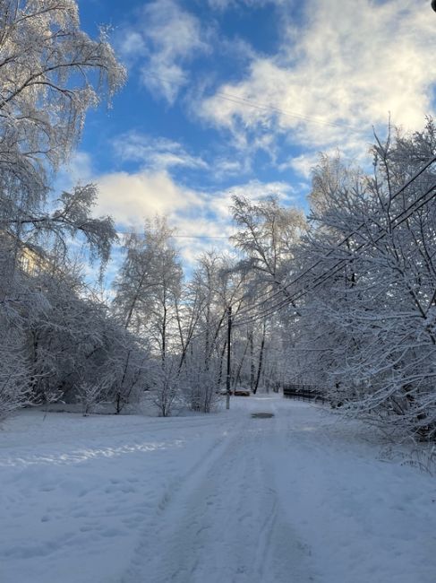 БАЛАШИХА ПРЕДНОВОГОДНЯЯ
Фото Ильмира..