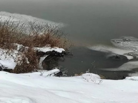 В Богородском округе по обращениям жителей проверили системы водоотведения.  Жители Ногинска обратились в..