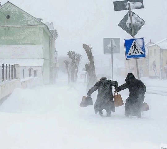 Мощный снегопад обрушится на Московскую область в конце недели, — сообщают синоптики 
Но морозов пока не..