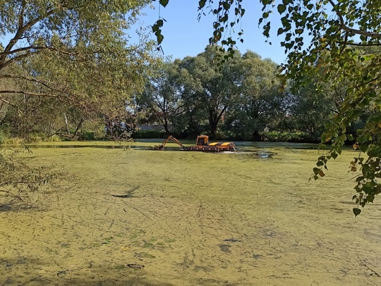 🐸 Сразу два водоема на территории городского округа Коломна вошли в губернаторскую программу «100 прудов и..