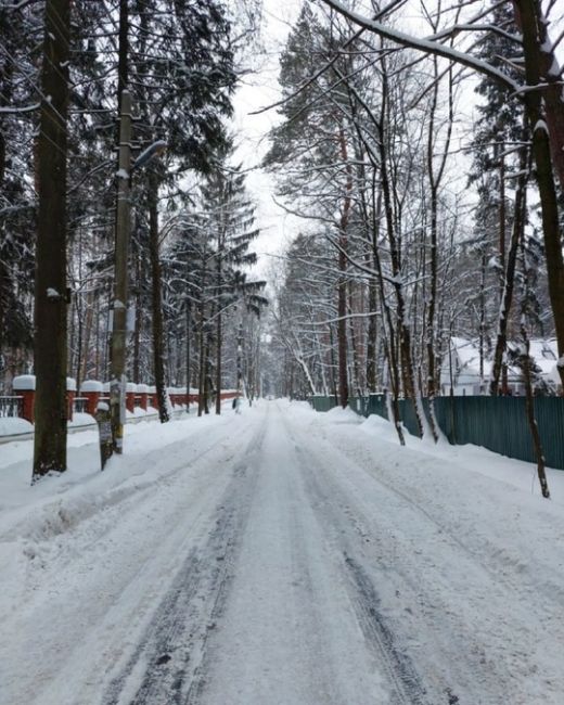 Переделкино — легендарный городок писателей. 
Фото:..