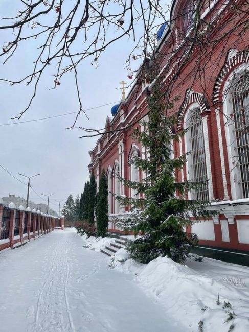 31 декабря в Орехово-Зуеве ожидаются снегопады и температура немного выше 0°C. 
В январе выпадет до 33 мм..