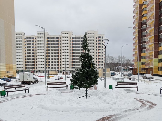 В микрорайоне «Высокие Жаворонки» установили елочку 🌲  Хочется поддержать жителей района и сказать, что..