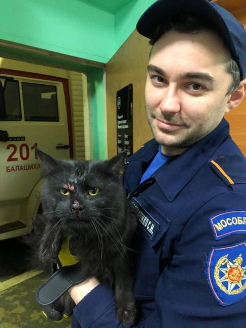 В БАЛАШИХЕ СПАСЛИ КОТЕЙКУ 🐈‍⬛ 👨‍🚒
Эта история о беспризорном коте, который под новый год не только был..