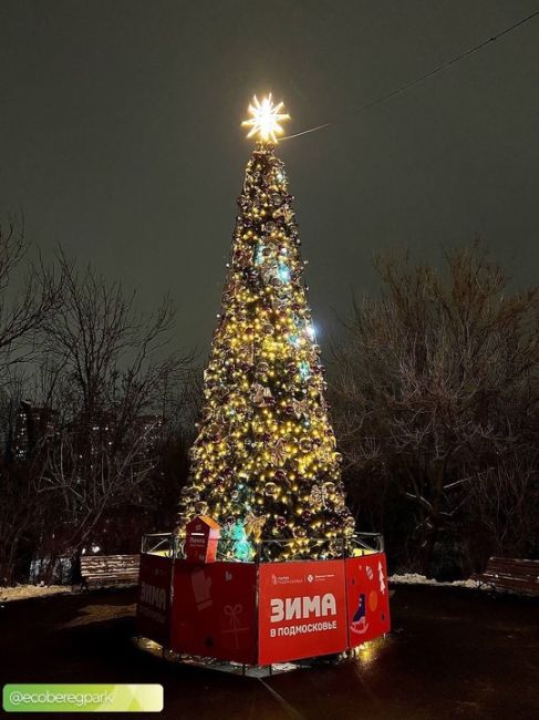 Эко-берег на Левом берегу тоже красиво украсили ✨  А ещё возле новогодней ёлки установили волшебный..