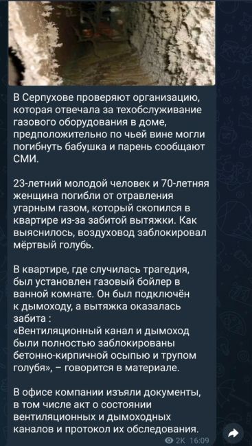 После аварийной ситуации на площади 49й армии,д9,с голубем прошло 5 дней!у нас срезана газовая труба.На все..