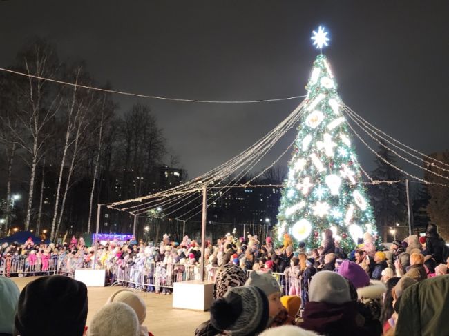 Новогодние елки в парках Пушкино и Ивантеевки признаны лучшими в Подмосковье.  Фото: Ольга Шеметова 
Автор:..