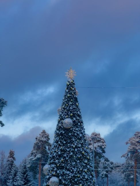 ПОСЛЕ СНЕГОПАДА ❄️
Наша Балашиха заиграла новыми красками!
Всех с Новым..