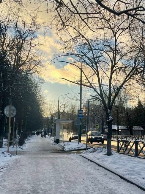 Доброе утро всем! На Рождество в Химках ожидается потепление ☀️  Оно окажется довольно затяжным, и только в..