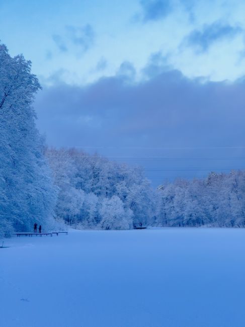 ПОСЛЕ СНЕГОПАДА ❄️
Наша Балашиха заиграла новыми красками!
Всех с Новым..