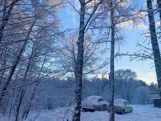 Зимняя сказка в Петрово-Дальнем❄️  📸 Скворцова..