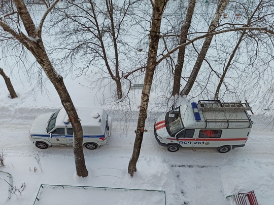 🚒 Центр ЧС городского округа Коломна поделился статистикой обращений в систему вызова экстренных..