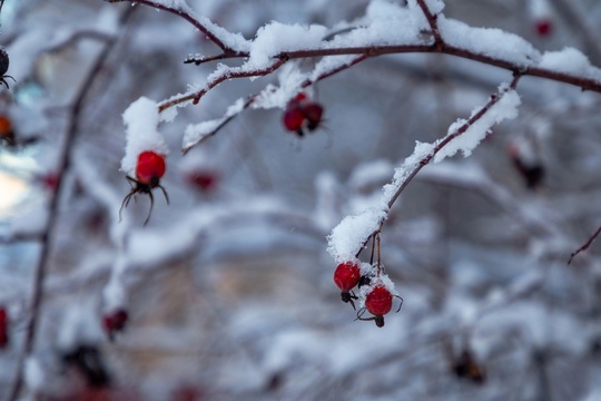 Солнечный денек 🌲🌨⛄
#видное..