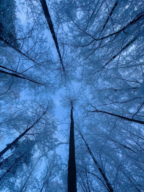 ПОСЛЕ СНЕГОПАДА ❄️
Наша Балашиха заиграла новыми красками!
Всех с Новым..