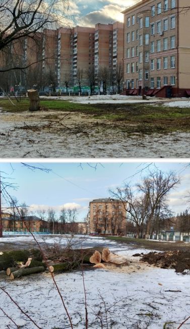 Лесоповал.
В 50-х годах прошлого века в нашем городе при школах были пришкольные участки. В 4-й школе на..