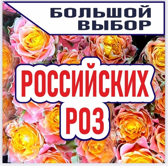 🌹🌸ЦВЕТОЧНЫЙ СКЛАД 🌸🌹🐦‍🔥ФЕНИКС 🐦‍🔥 ТЕПЕРЬ В ГОРОДЕ СЕРГИЕВ-ПОСАД !!!🌸 
❗️Открытие 15 января ❗️ 
..