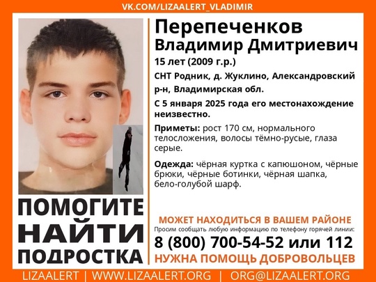 Внимание! Пропал подросток!  Перепеченков Владимир, 15 лет, СНТ “Родник”, д. Жуклино, Александровский р-н,..