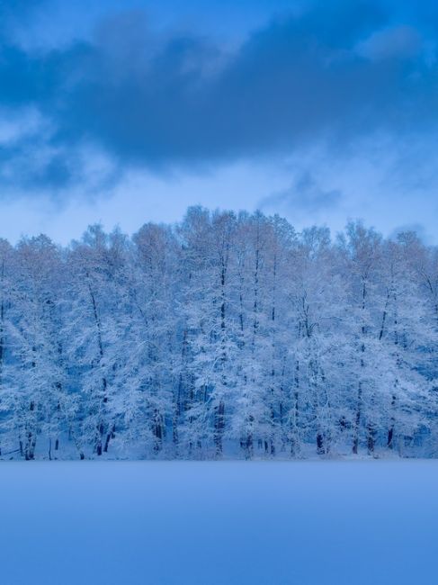 ПОСЛЕ СНЕГОПАДА ❄️
Наша Балашиха заиграла новыми красками!
Всех с Новым..