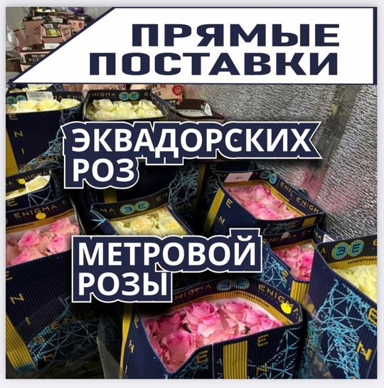 🌹🌸ЦВЕТОЧНЫЙ СКЛАД 🌸🌹🐦‍🔥ФЕНИКС 🐦‍🔥 ТЕПЕРЬ В ГОРОДЕ СЕРГИЕВ-ПОСАД !!!🌸 
❗️Открытие 15 января ❗️ 
..