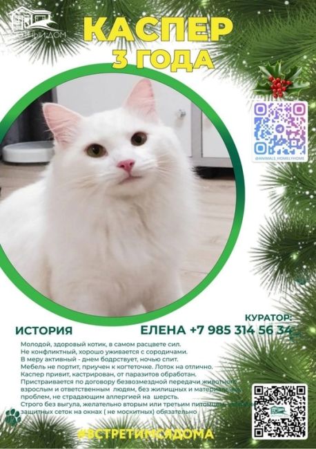 🎄«…В НОВОМ НЕСОСТОЯВШЕЕСЯ СТАРОЕ НАСТАЁТ...» ❄️ А. Вознесенский  🥂 Отпраздновав на всю катушку, на целый..