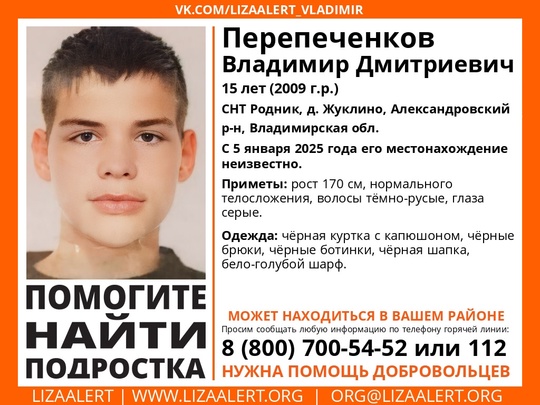 Внимание! Пропал подросток!  Перепеченков Владимир, 15 лет, СНТ “Родник”, д. Жуклино, Александровский р-н,..