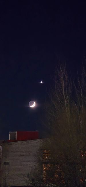 Венера с Луной достигли редкой близости 🌒  Кроме того, этой ночью ожидается пик звездопада Квадрантиды...