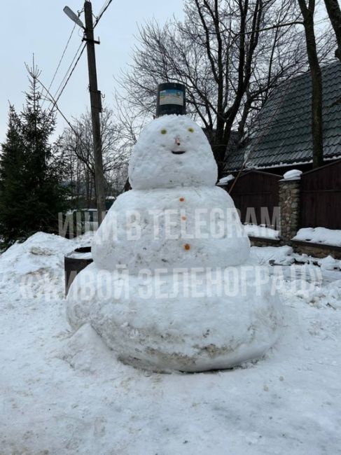 ☃В Алабушево был замечен двухметровый снежный ☃  ТГК Живой..