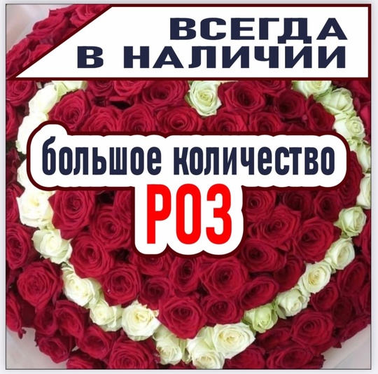 🌹🌸ЦВЕТОЧНЫЙ СКЛАД 🌸🌹🐦‍🔥ФЕНИКС 🐦‍🔥 ТЕПЕРЬ В ГОРОДЕ СЕРГИЕВ-ПОСАД !!!🌸 
❗️Открытие 15 января ❗️ 
..