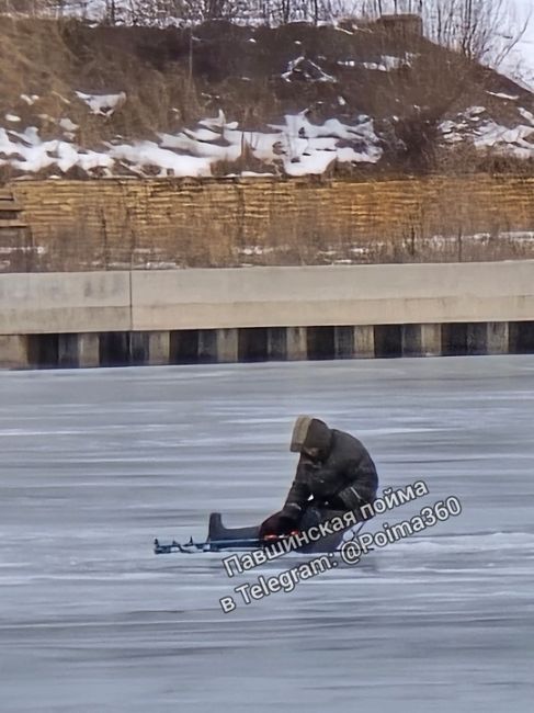 Жители Павшинской поймы обеспокоены поведением рыбаков на тонком льду Москвы-реки.  Местные жители района..