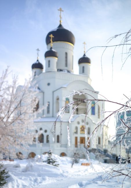 с Сочельником и Рождеством!
храм Рождества..