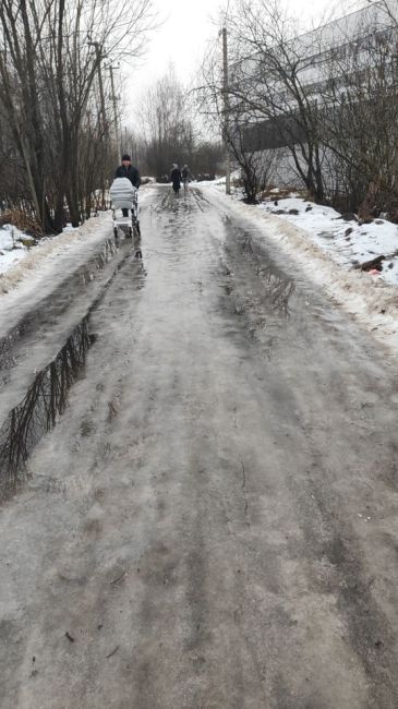 СКОЛЬЗКО, ЛЮДИ ПАДАЮТ 😱
В мкр. Пехра вокруг школы гололёд. Ничем не посыпано и не обработано. Люди с детьми..