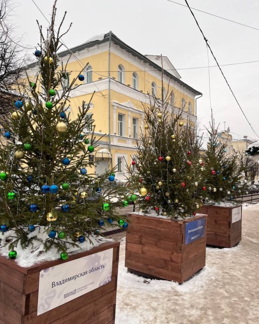 Новогодние елки от разных регионов России.  Иркутская область украсила свою грибами и нерпами, Томская –..