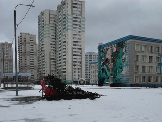 Год только начался, а в Трехгорке елочка уже устала и решила прилечь..