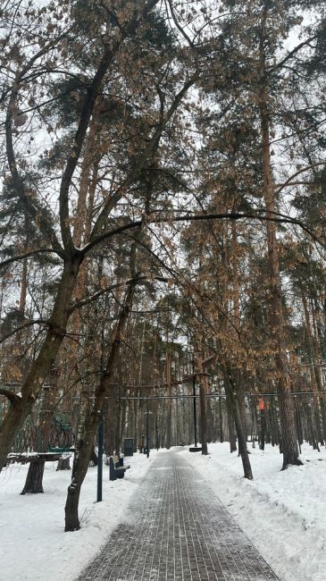 Хроники ЗаМосковья 
Многие мои близкие знают с каким трудом я выезжаю за пределы ЦАО города Москвы, для меня..